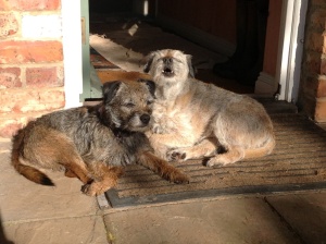 wE dUs bE miSsiNg OuR pAL
